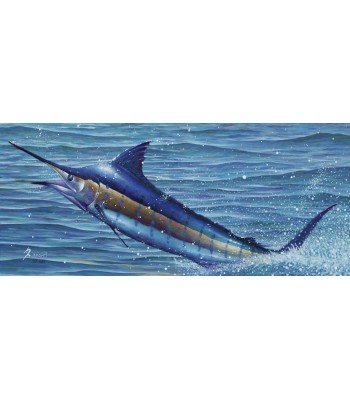 Bermuda Blue