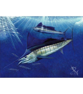 Sailfish Ball