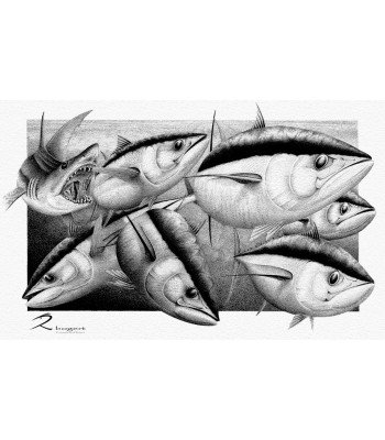 Fins Tuna Mako Shark