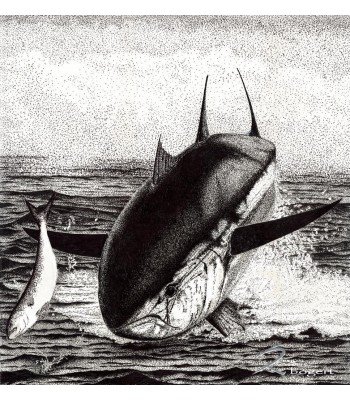 Giant Tuna "Tuna Chase"